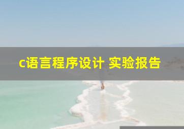 c语言程序设计 实验报告